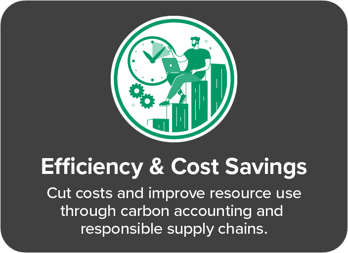efficiency-cost-saving-icon