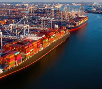 Working it: help your business thrive post Brexit
