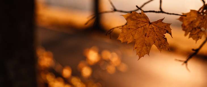 Corporate Tax News: Issue 64 - November 2022