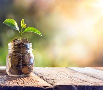 The transformative power of green finance