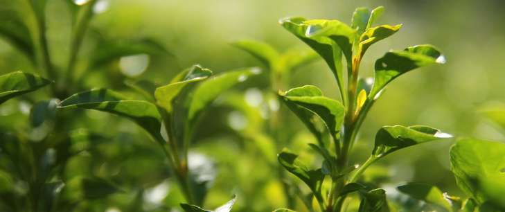 Money matters: How green are your precious savings?