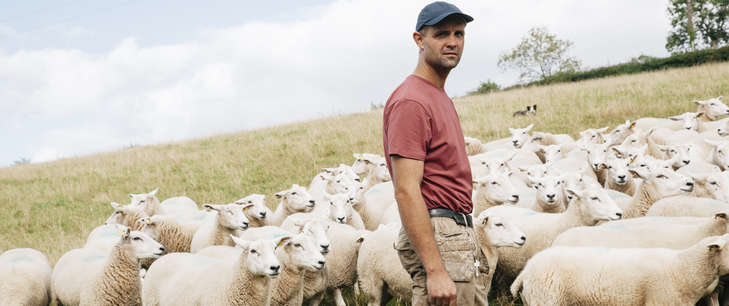 Budget 2023: Flat-rate compensation for farmers cut to 5%