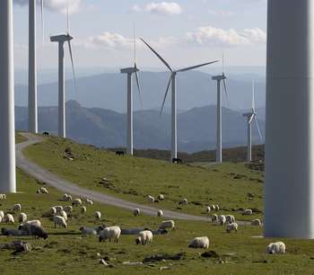 Green lending is growing as a means to fund sustainable projects