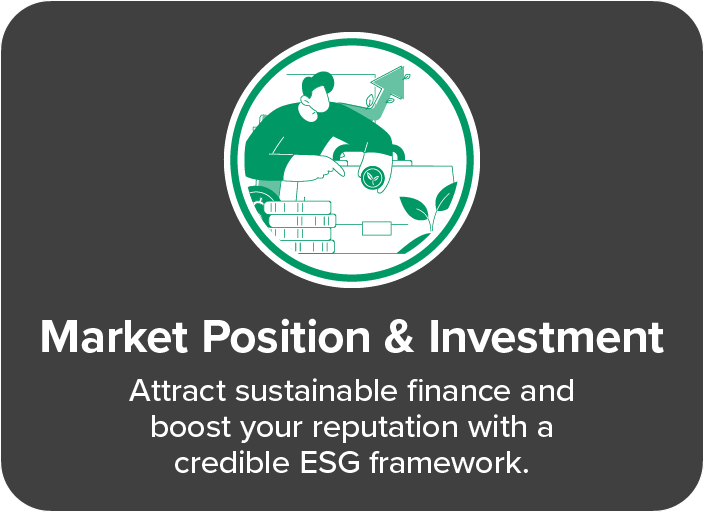 market-position-and-investment-icon