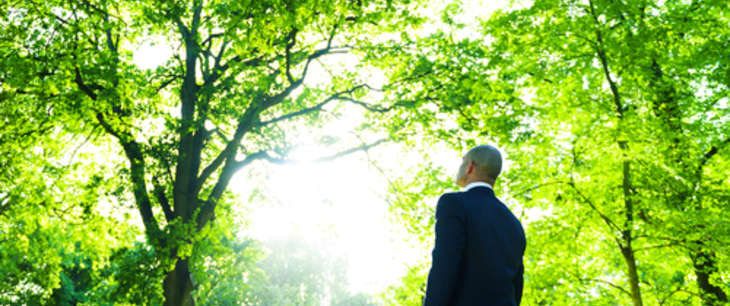 The Irish Times Special Report – Green Finance