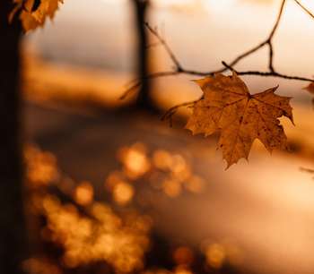 Corporate Tax News: Issue 64 - November 2022