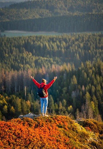 woman-with-arms-in-the-air-at-top-of-mountain-forest-landscape