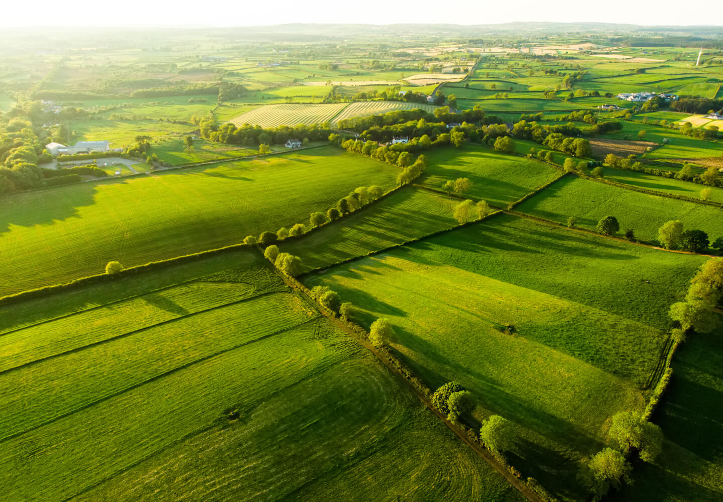 concept-emphasizing-earth-day-protecting-green-nature