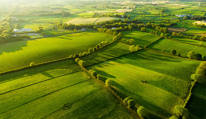 green-fields-landscape-bdo