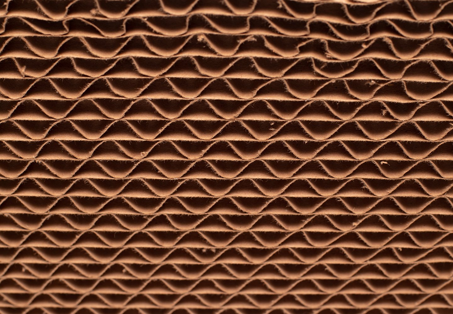 corrugated-cardboard-closeup-recycle-sustainability-bdo