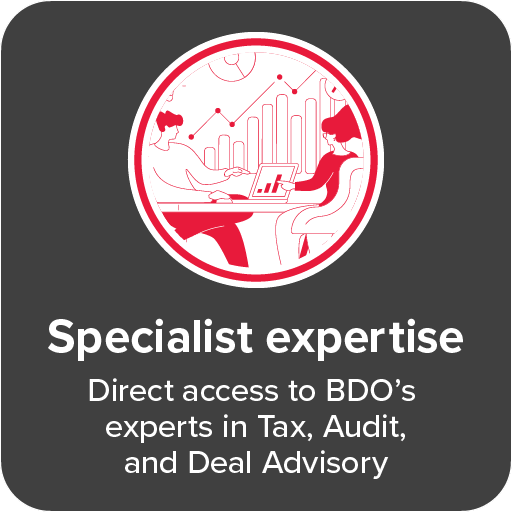 bdo-cosec-icon-specialist-expertise