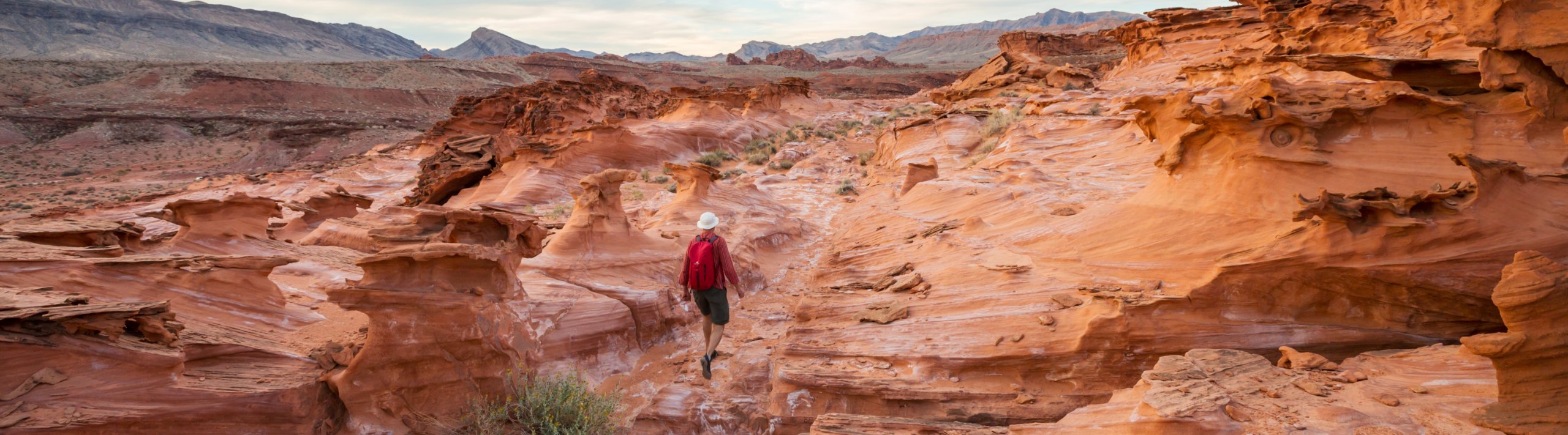 person-in-desert-sustainability-report-cover-2026-bdo