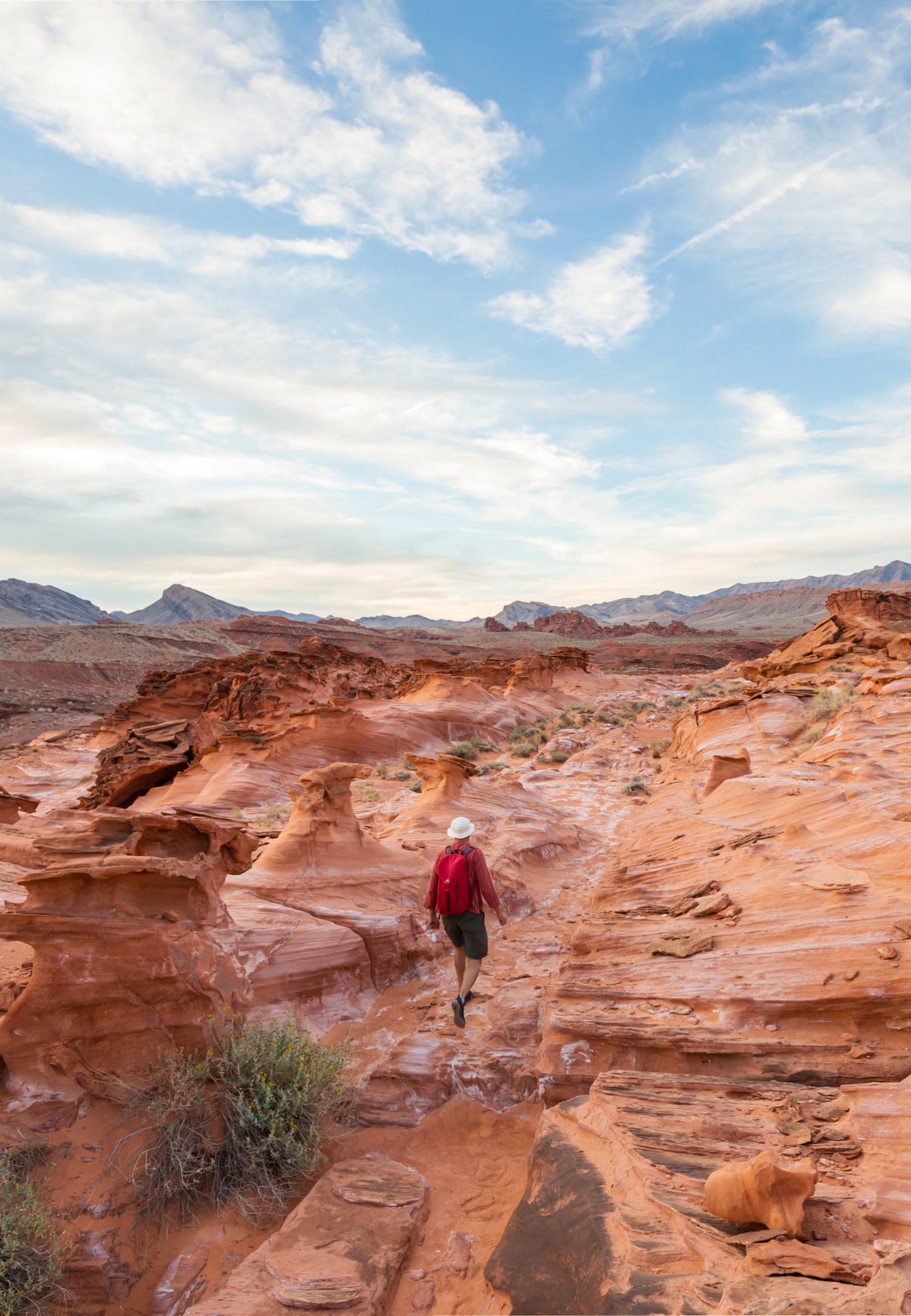 person-in-desert-sustainability-report-cover-2026-bdo