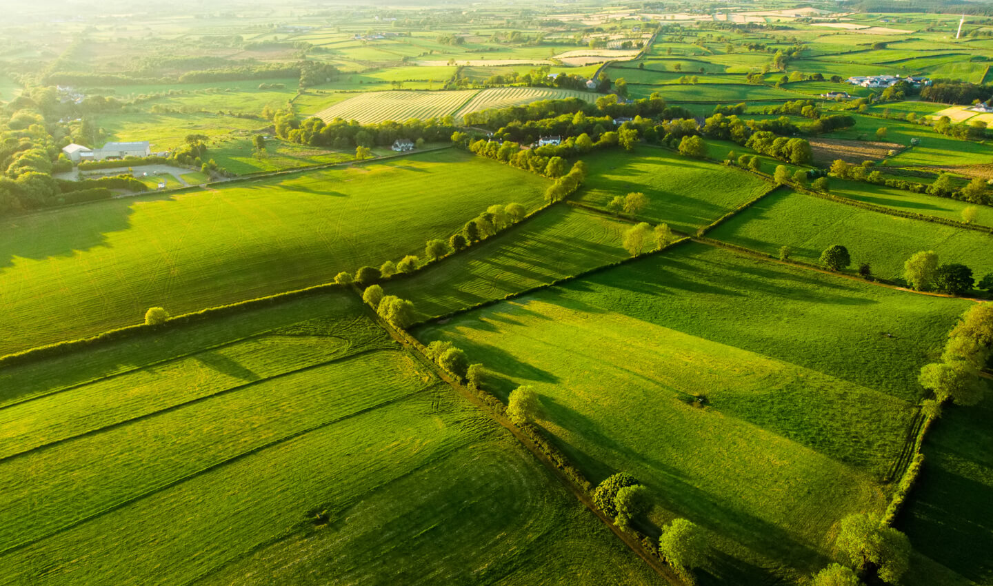 green-fileds